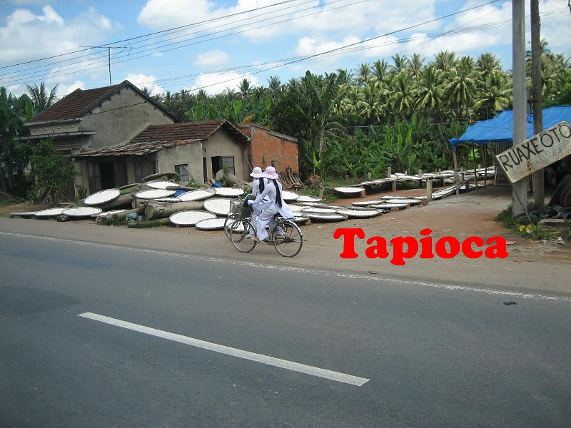 090081 tapioca.JPG